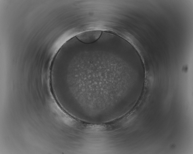 X0000115651187200911101532