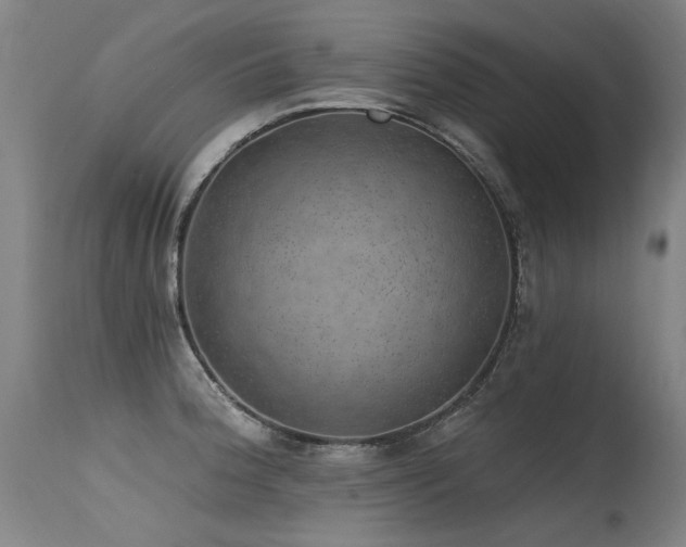 X0000115651188200911101532