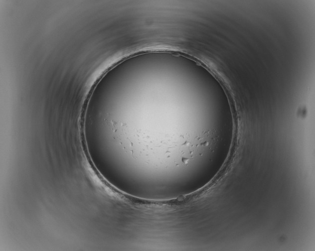 X0000115651189200911101532