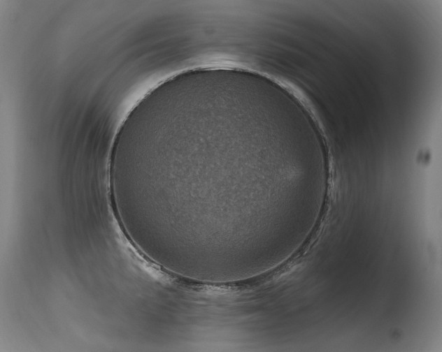 X0000115651191200911101532