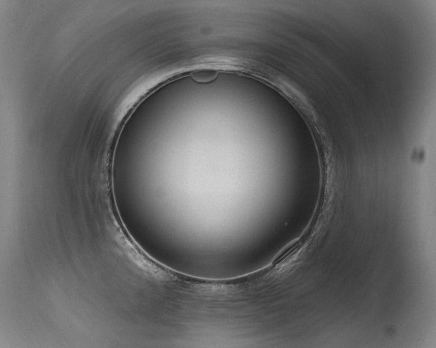 X0000115651192200911101532