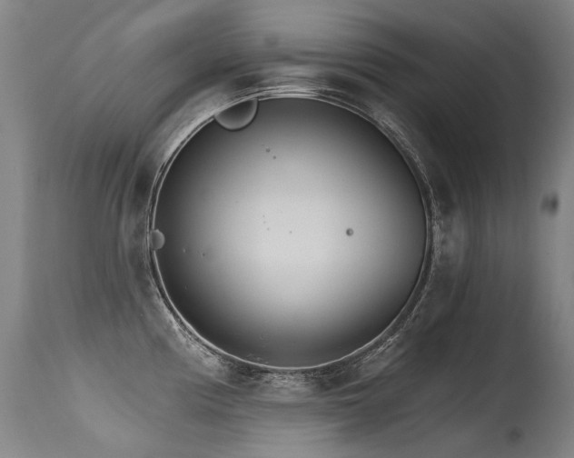 X0000115651194200911101532