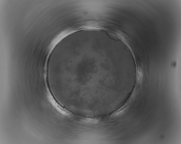 X0000115651195200911101532