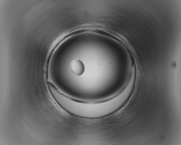 X0000115651196200911101532