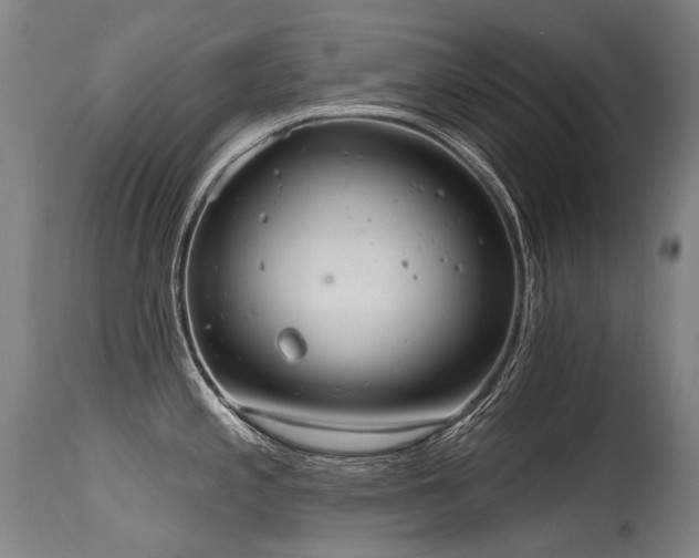 X0000115651197200911101532