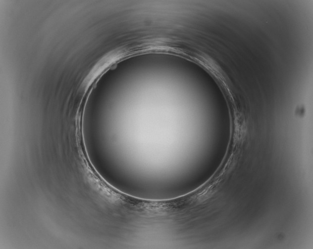 X0000115651198200911101532
