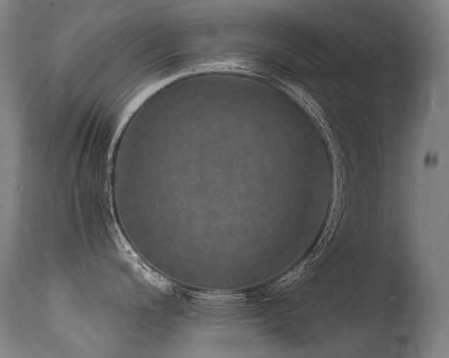 X0000115651200200911101532