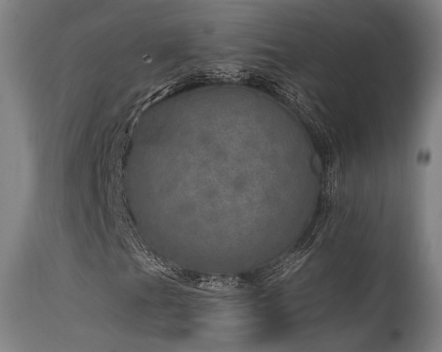 X0000115651201200911101531