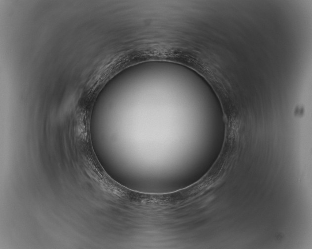 X0000115651202200911101531