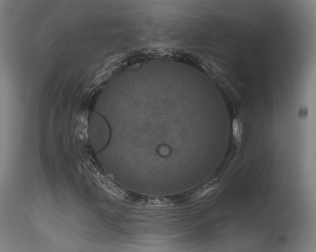 X0000115651203200911101531