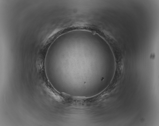 X0000115651206200911101532