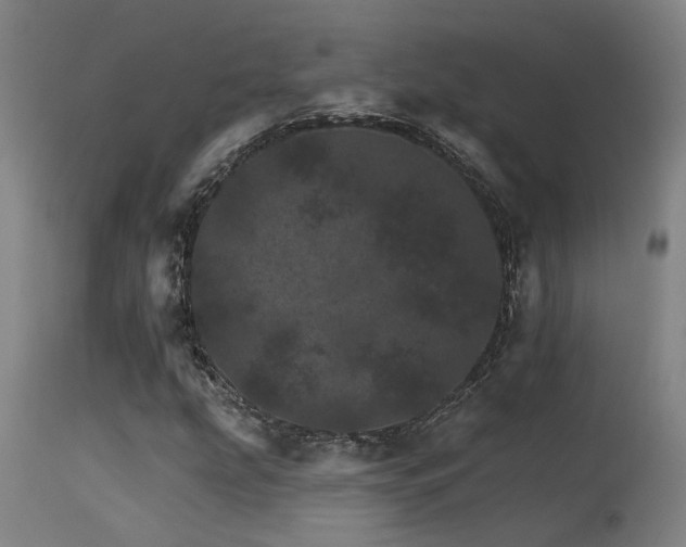 X0000115651207200911101532