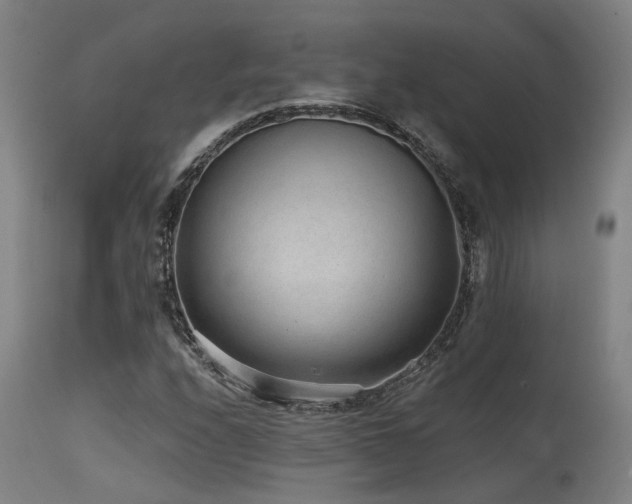 X0000115651208200911101532