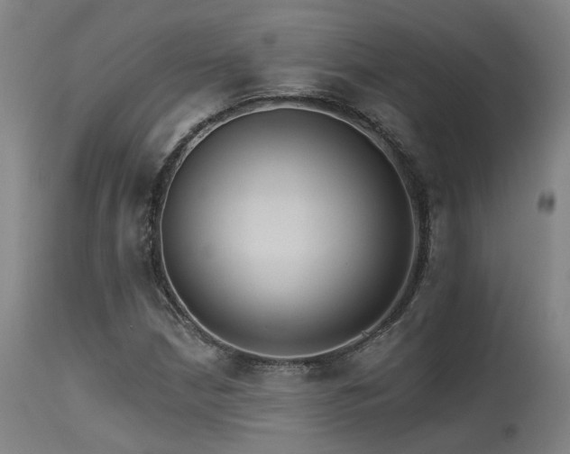 X0000115651210200911101532