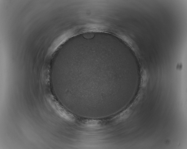 X0000115651211200911101532
