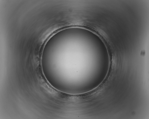 X0000115651212200911101532