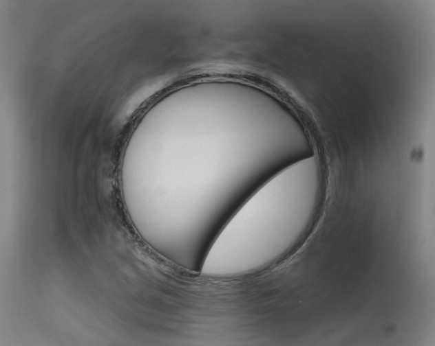 X0000115651213200911101532