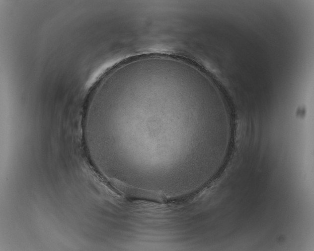 X0000115651214200911101532