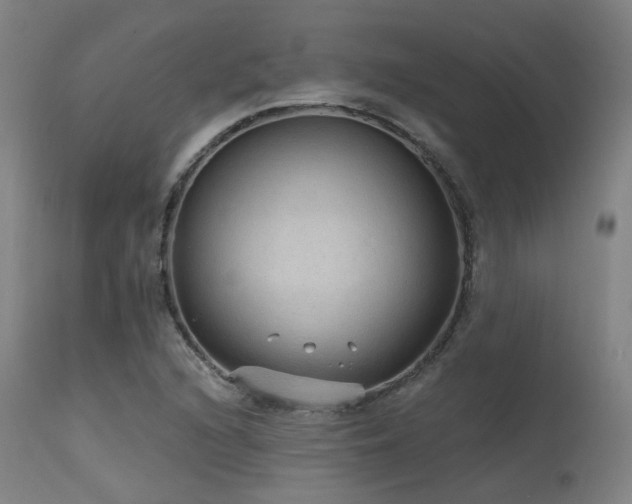 X0000115651216200911101532