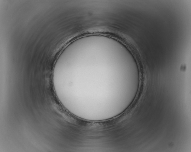 X0000115651217200911101532