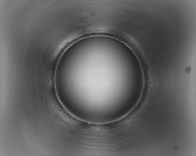 X0000115651218200911101532
