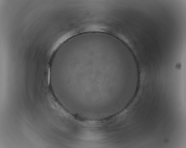 X0000115651219200911101532