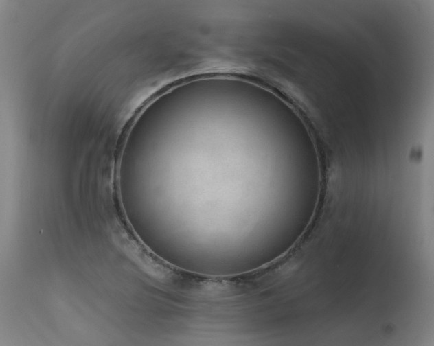 X0000115651220200911101532