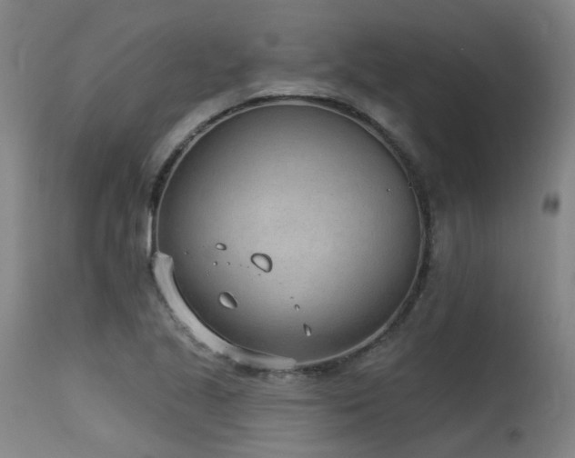 X0000115651221200911101532