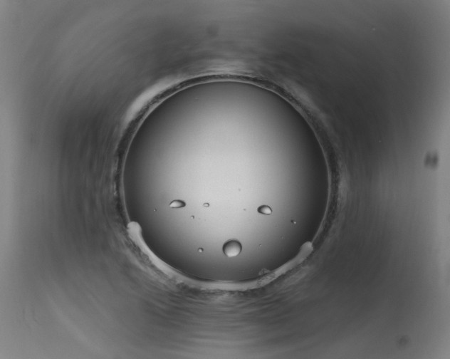 X0000115651222200911101532