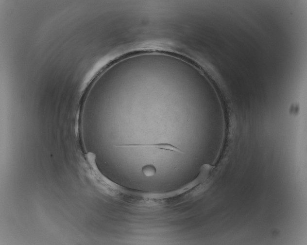 X0000115651224200911101532