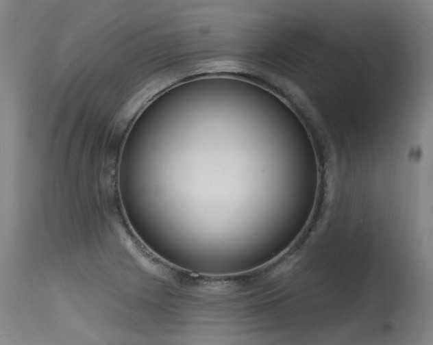 X0000115651225200911101532
