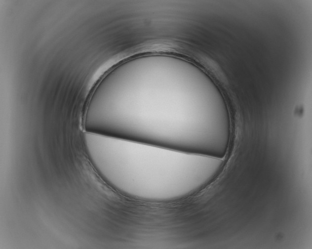 X0000115651226200911101532