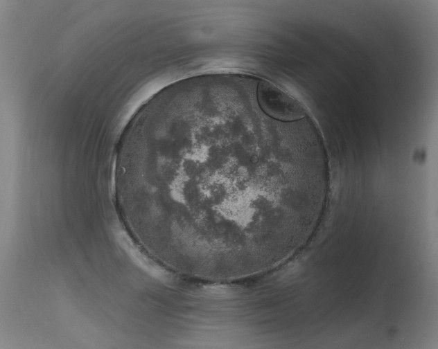 X0000115651227200911101532