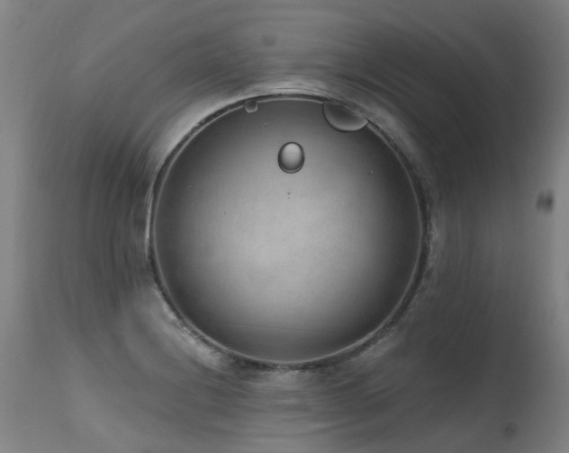 X0000115651228200911101532