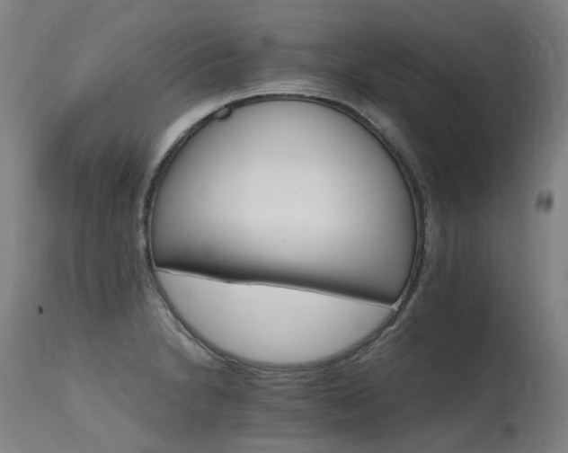 X0000115651230200911101532
