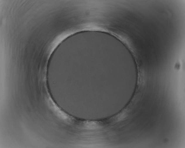 X0000115651231200911101532