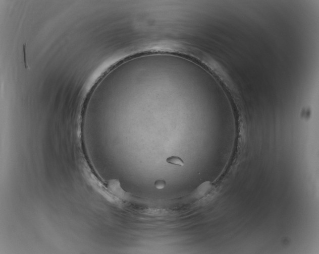 X0000115651232200911101532
