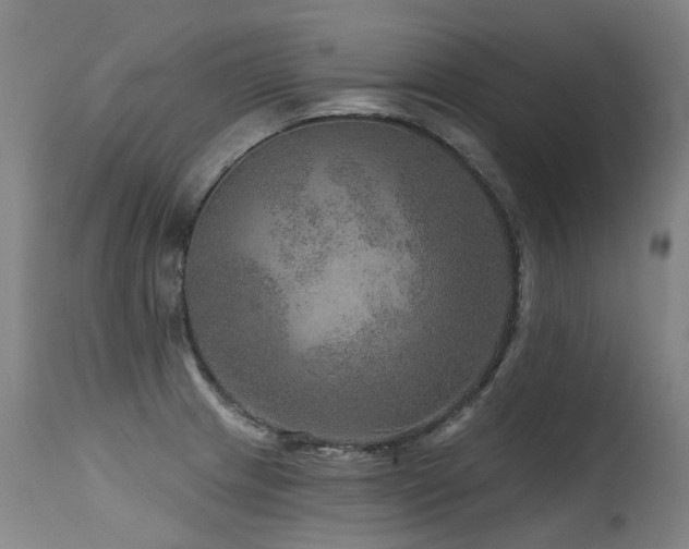 X0000115651233200911101532