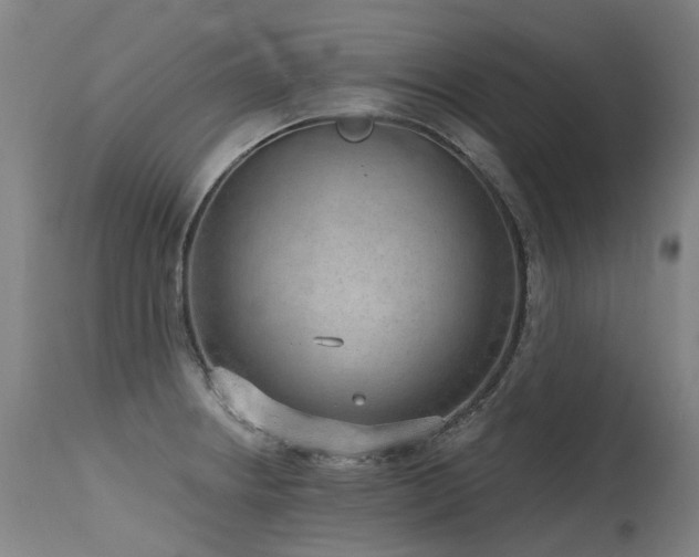 X0000115651234200911101532