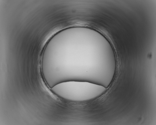 X0000115651235200911101532