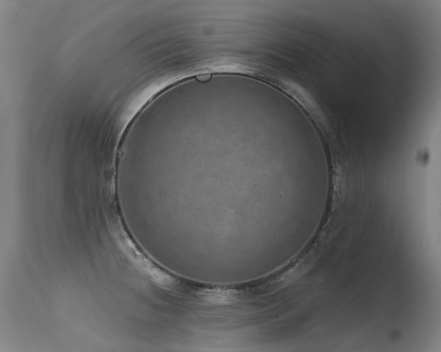 X0000115651236200911101532