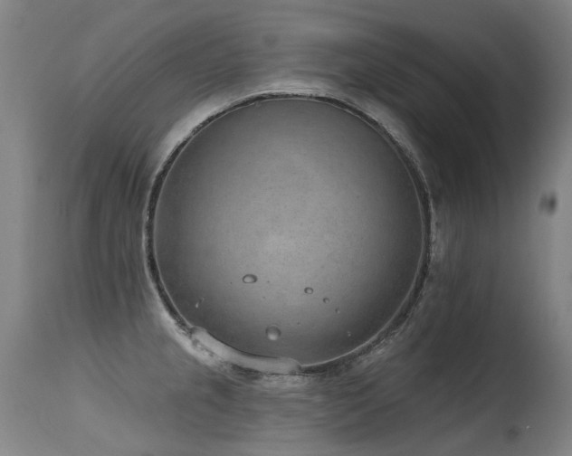 X0000115651237200911101532