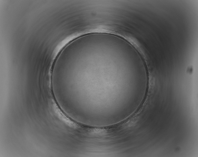 X0000115651238200911101532