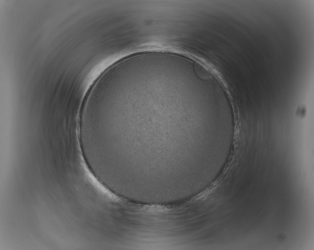 X0000115651239200911101532