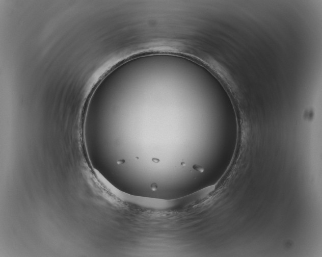 X0000115651240200911101532