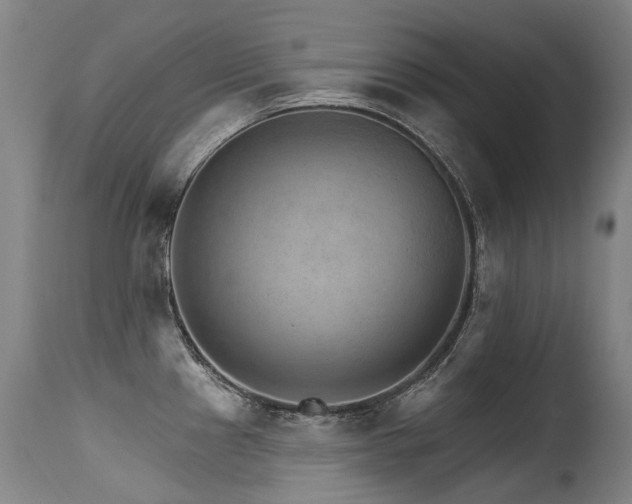 X0000115651241200911101532