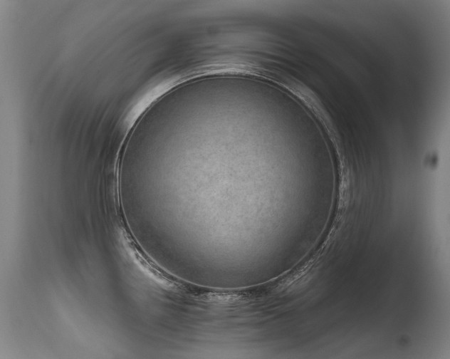 X0000115651242200911101532