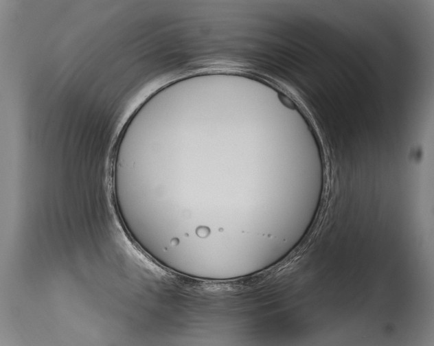 X0000115651243200911101532