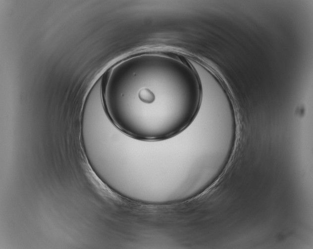 X0000115651244200911101532