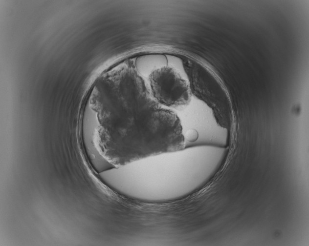 X0000115651245200911101532